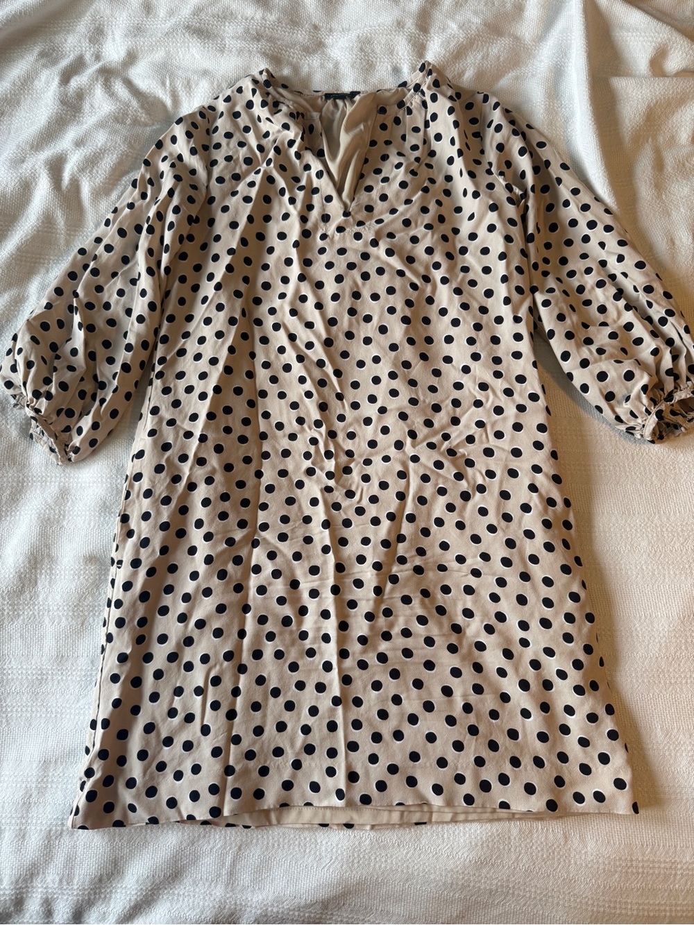 Ann Taylor Beige and Black Dress
